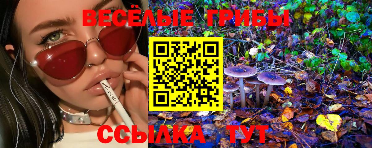 как найти наркотики  Вход с VPN  Амурск  Галлюциногенные грибы GOLDEN TEACHER 